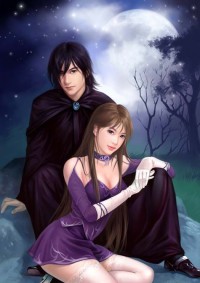一品辣妻